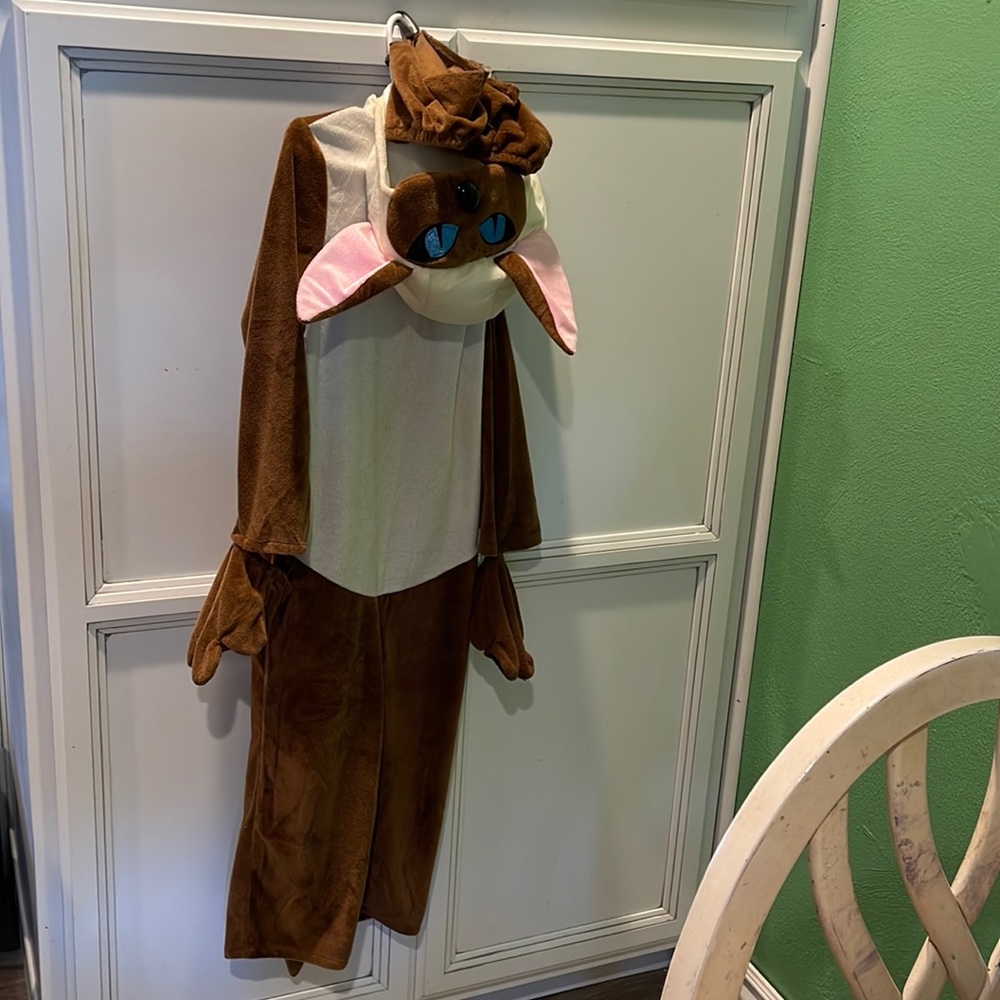 Diane’s costume